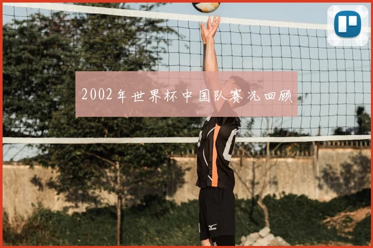2002年世界杯中国队赛况回顾