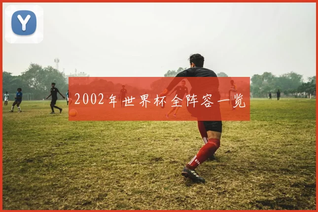 2002年世界杯全阵容一览