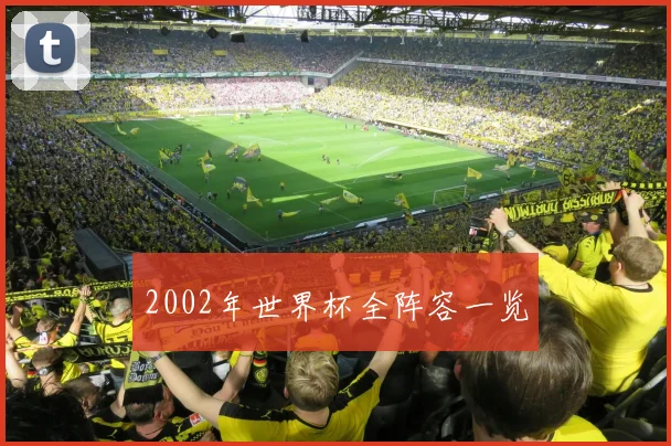 2002年世界杯全阵容一览
